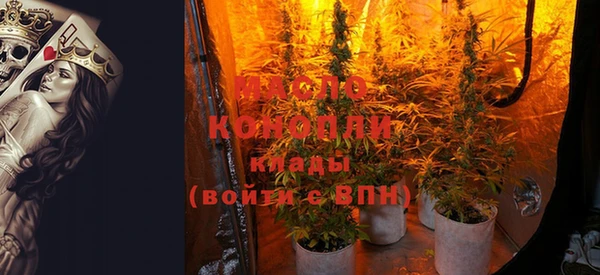 молекула духа Майский
