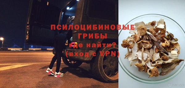 молекула духа Майский